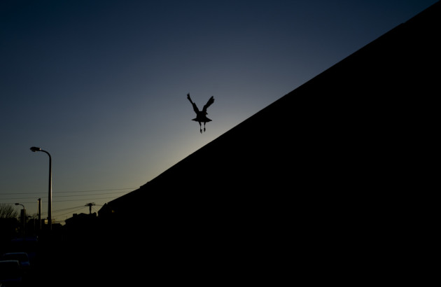 &copy; Jesse Marlow.